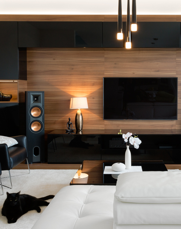 A modern living room featuring a sleek black wall unit with a flat-screen TV, a decorative lamp, and stylish speakers, accompanied by a white couch and a fluffy rug, while a black cat rests nearby. Elegant interior design elements create a cozy atmosphere.